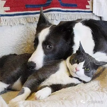 ���С������õ�Ҫ������װ