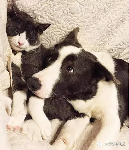 ���С������õ�Ҫ������װ