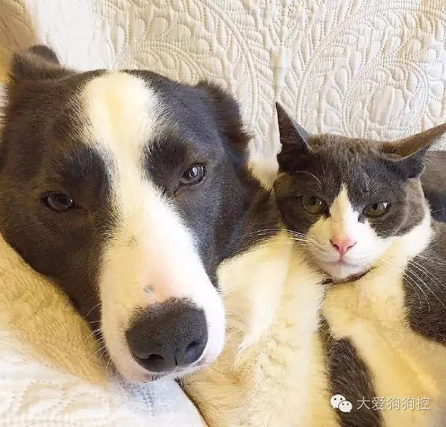 ���С������õ�Ҫ������װ