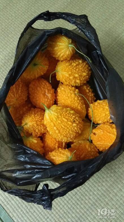 历刺瓜是不是真的有补血功能