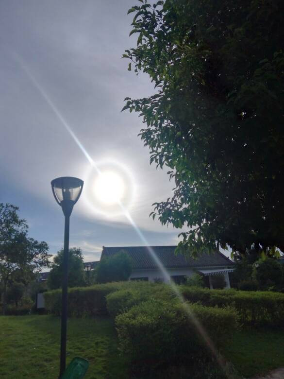 早上的太阳也很刺眼,荡秋千