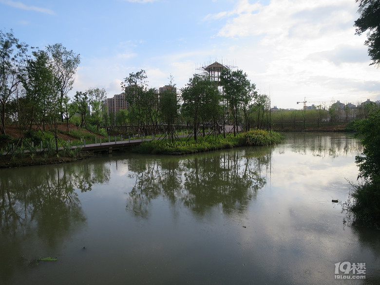 湿地公园