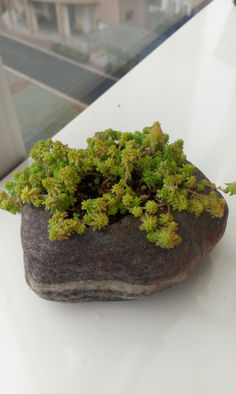 �ȹ�����Ķ�����