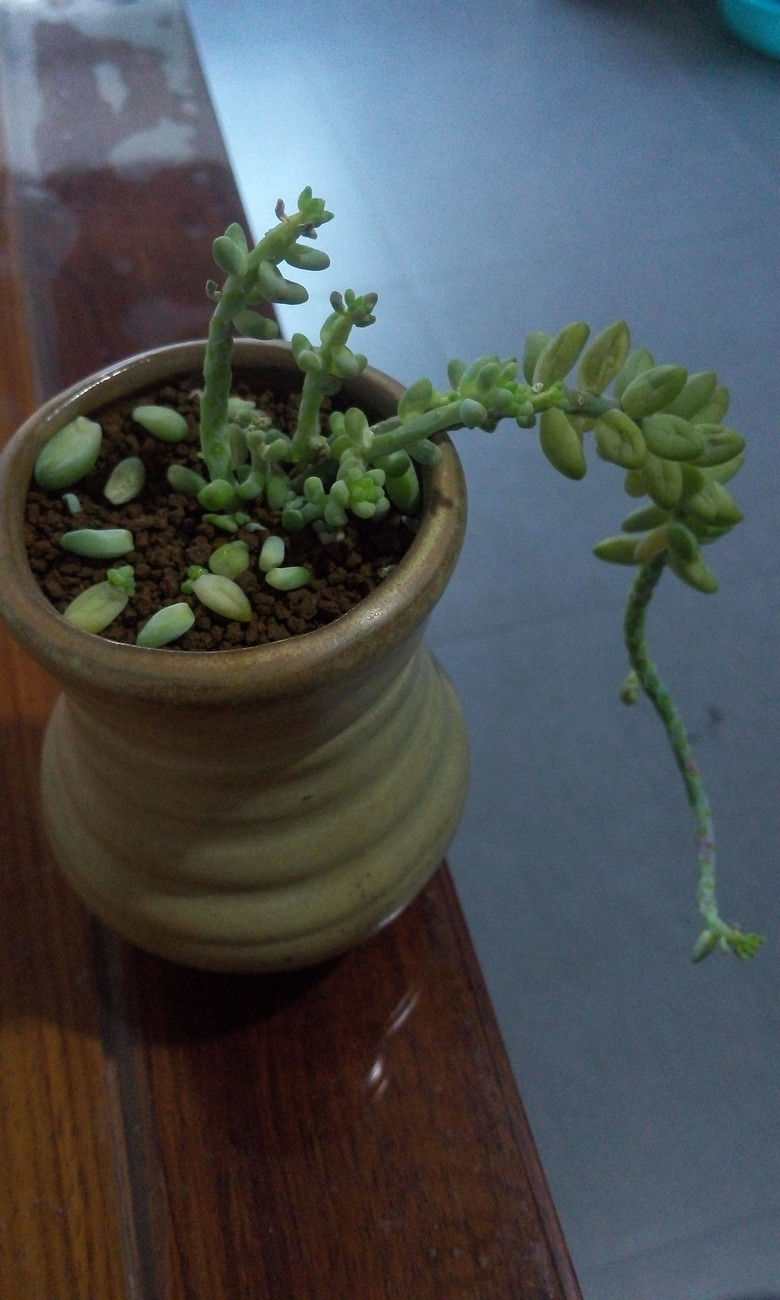 �ȹ�����Ķ�����