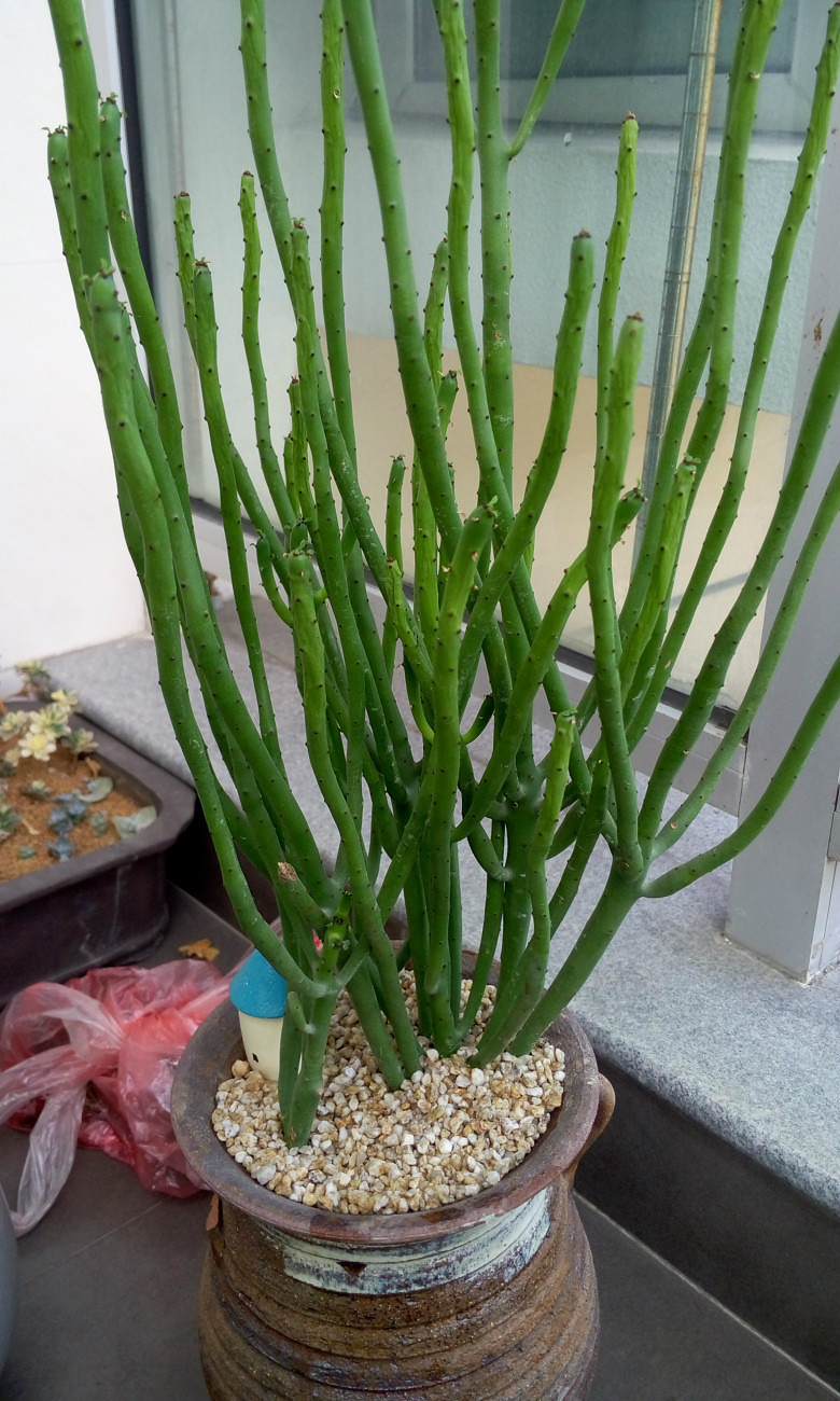 �ȹ�����Ķ�����