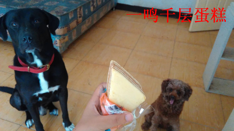 �������ˡ��������