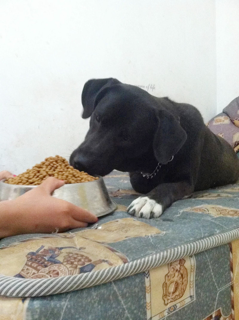 �������ˡ��������