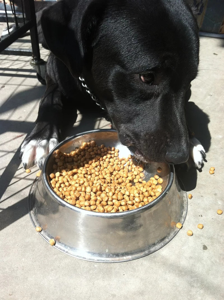 �������ˡ��������