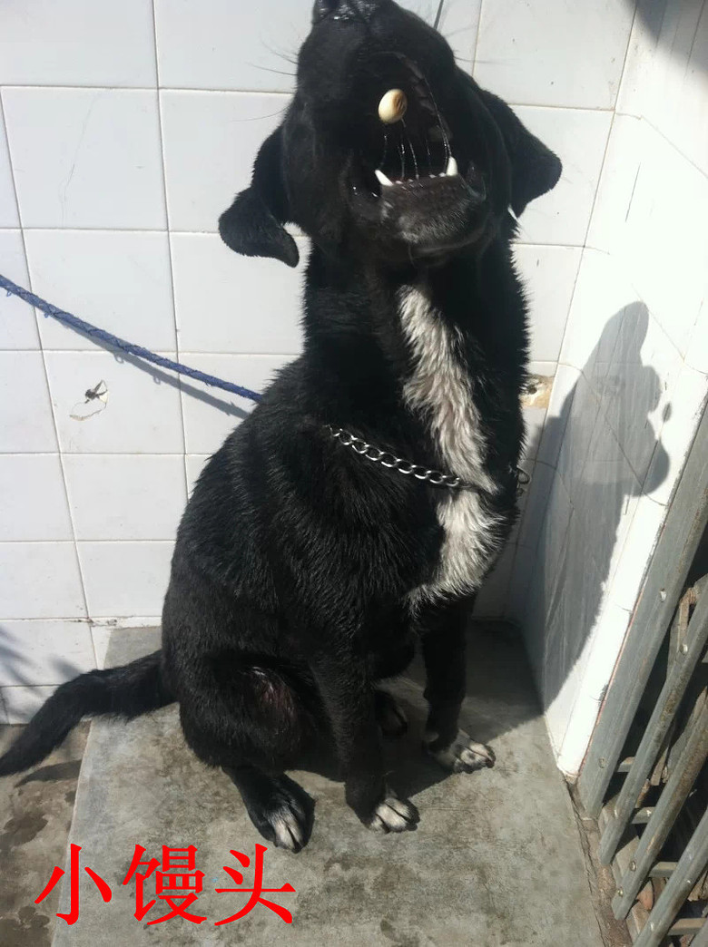 �������ˡ��������