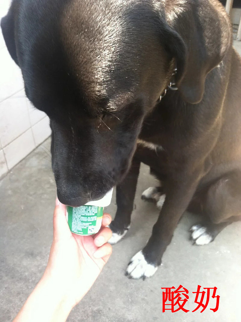 �������ˡ��������