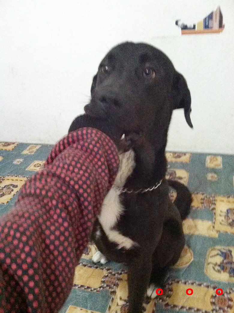 �������ˡ��������