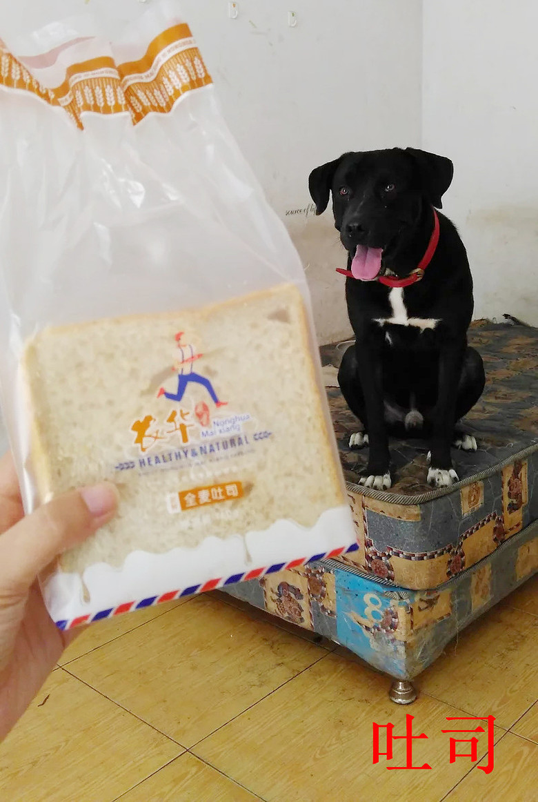 �������ˡ��������