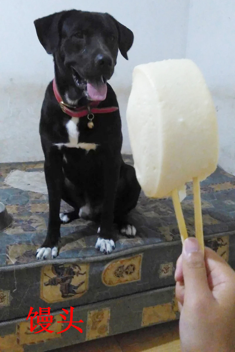 �������ˡ��������