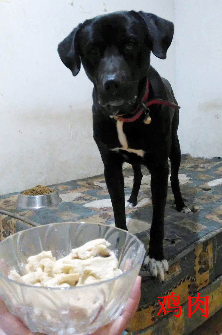 �������ˡ��������