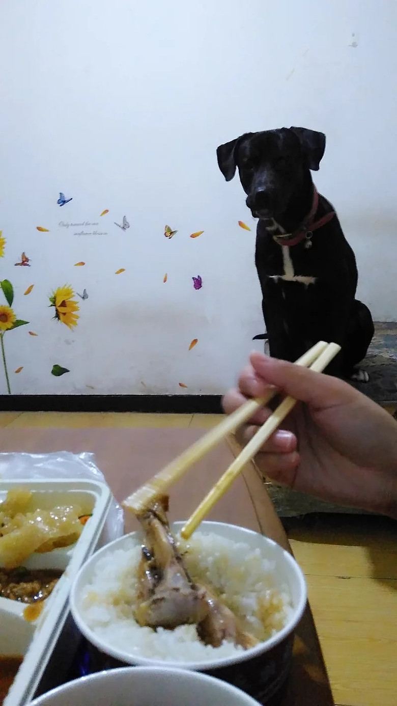 �������ˡ��������