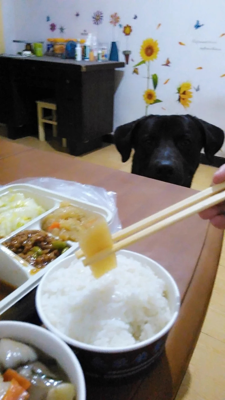 �������ˡ��������