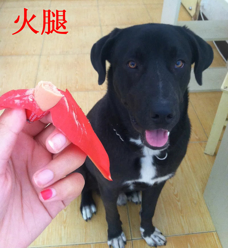 �������ˡ��������