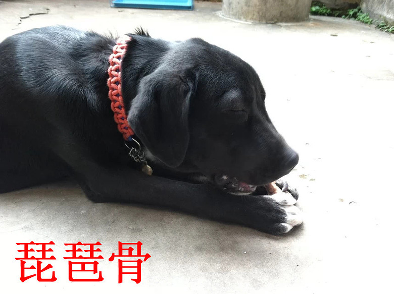 �������ˡ��������