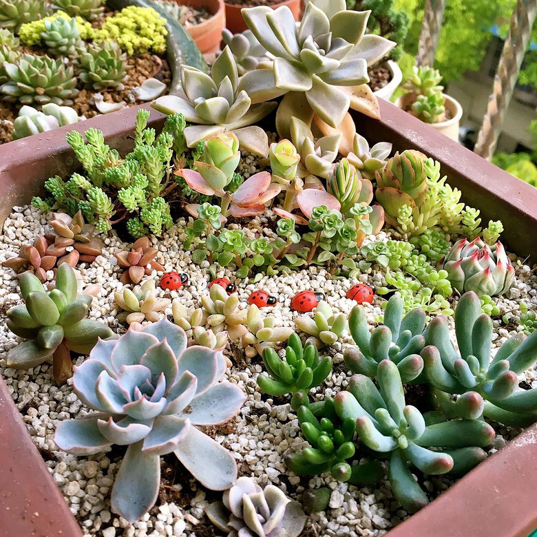 ����Ʊ���ͬ�µ�������̨   ��������~~