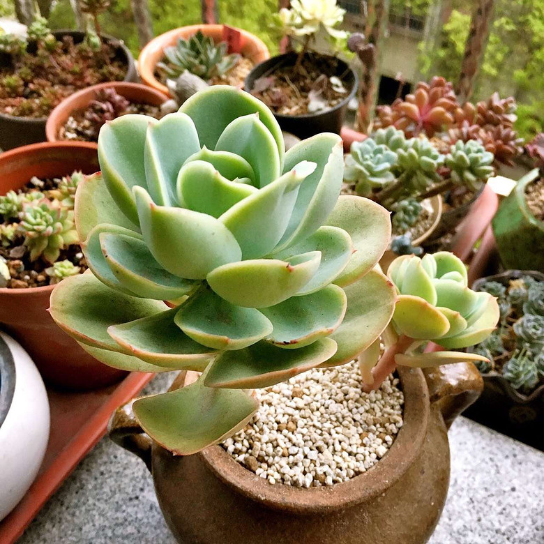 ����Ʊ���ͬ�µ�������̨   ��������~~