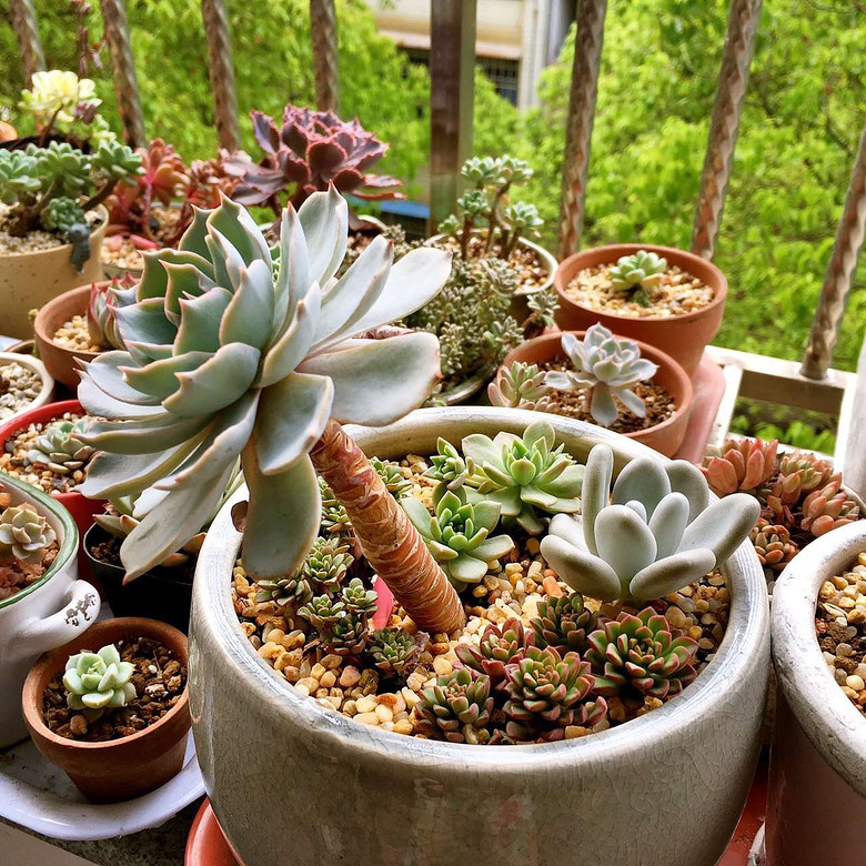 ����Ʊ���ͬ�µ�������̨   ��������~~