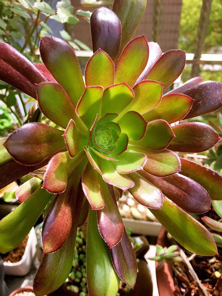 ����Ʊ���ͬ�µ�������̨   ��������~~