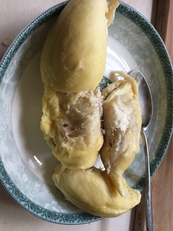 榴莲三用榴莲肉榴莲白囊炖鸡榴莲壳烧水