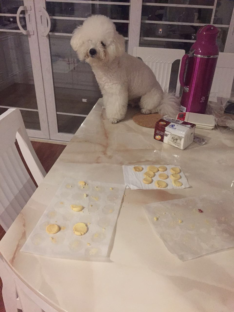 �������ˡ�����ҡ��