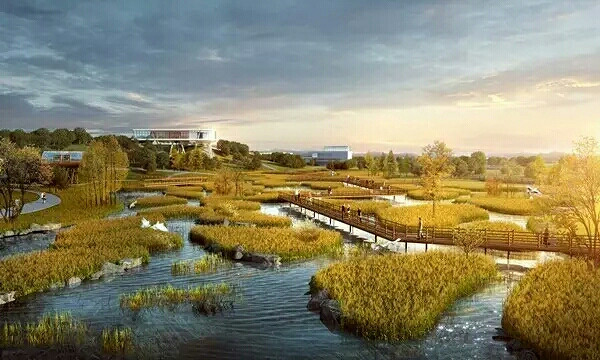 黄岩要建一座生态岛,漂亮的滨水生态湿地公园要来了!