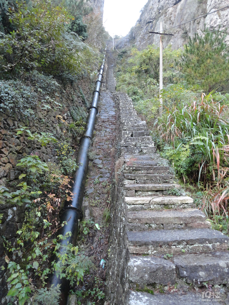 温岭花芯水库图片