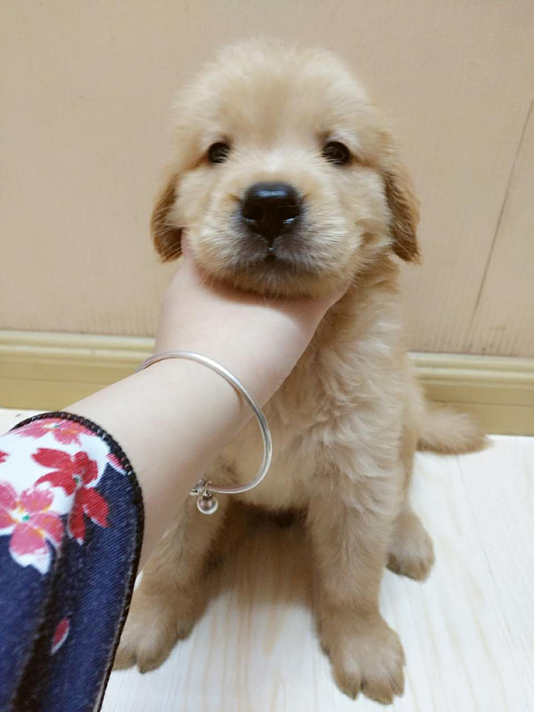 �����ۡ���ë������һ�������Ѵ�һ������