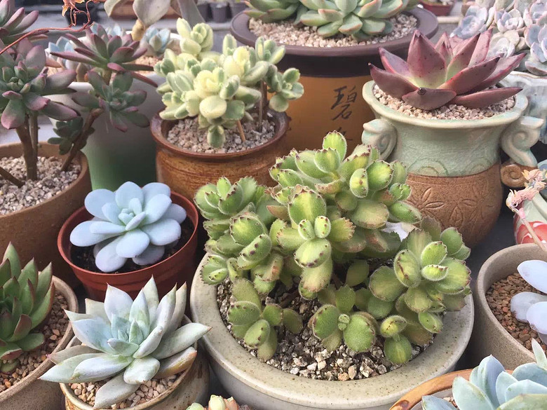 ̨�������ڵĶ�����������