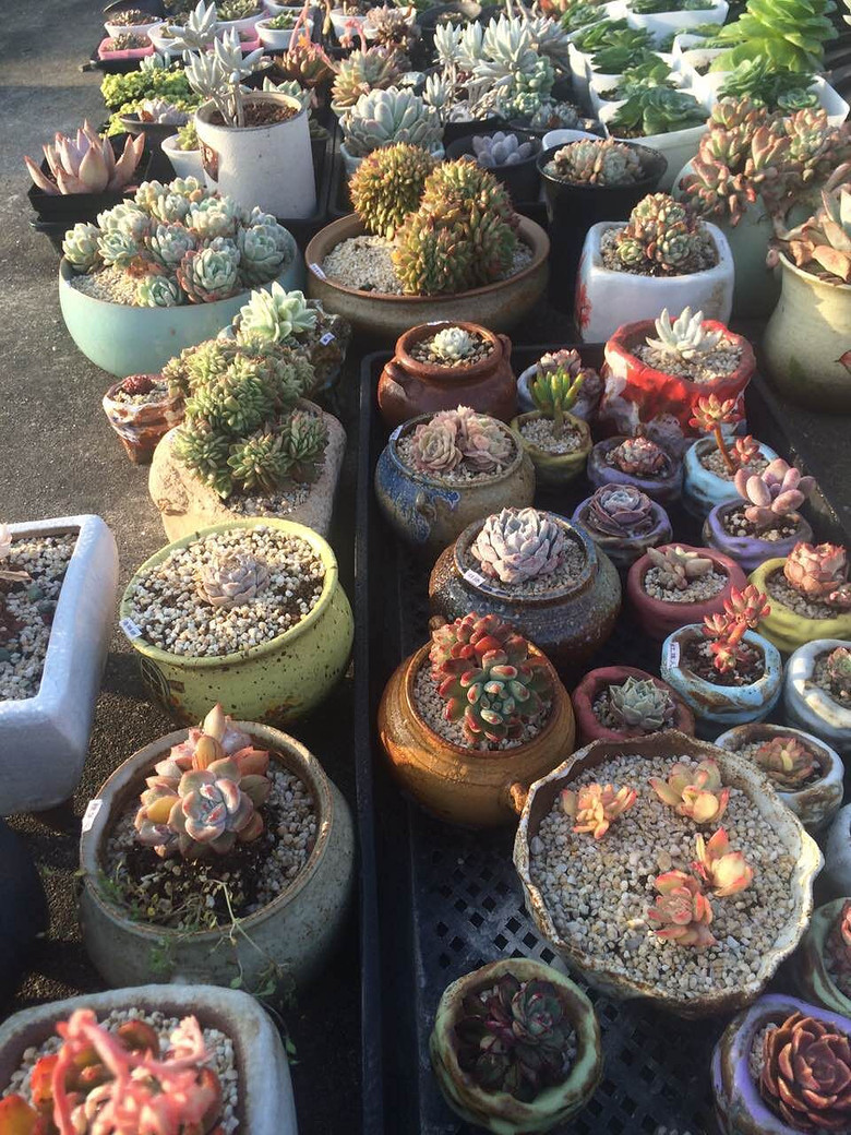 ̨�������ڵĶ�����������