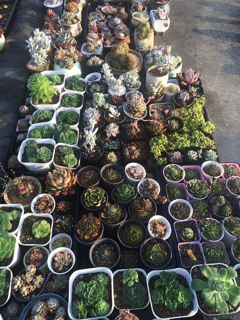 ̨�������ڵĶ�����������