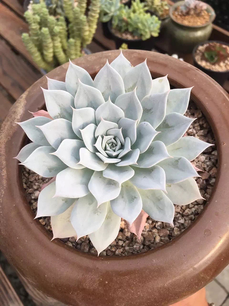 ̨�������ڵĶ�����������