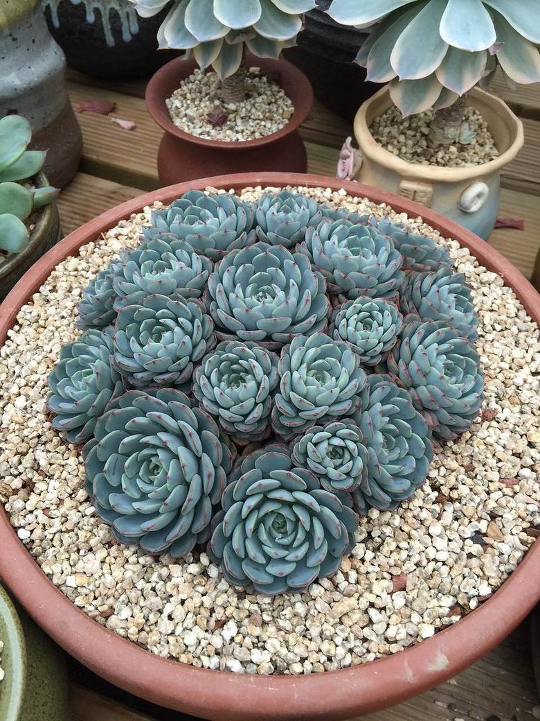 ̨�������ڵĶ�����������