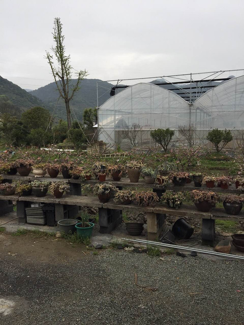 ̨�������ڵĶ�����������