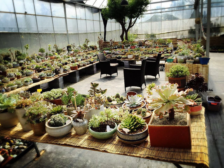 ̨�������ڵĶ�����������