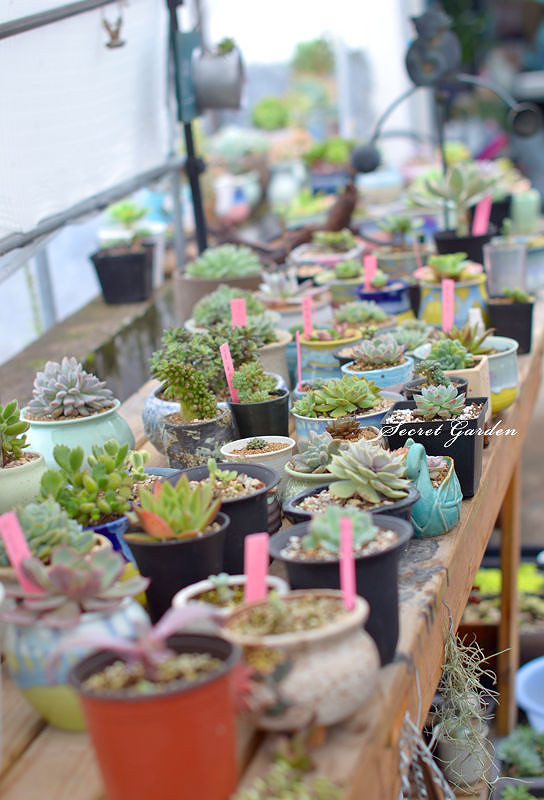 ̨�������ڵĶ�����������