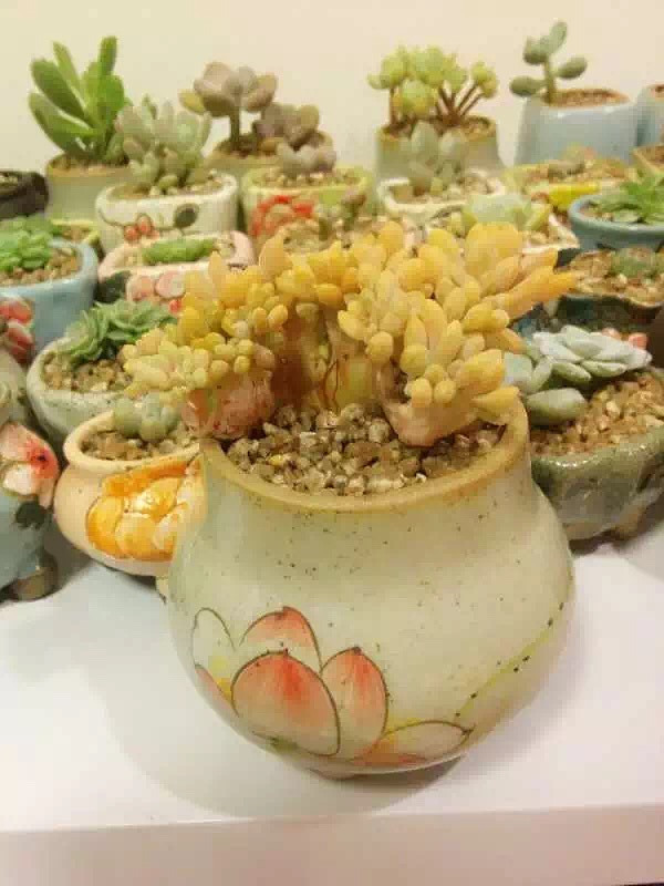 ̨�������ڵĶ�����������