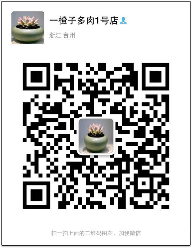 ̨�������ڵĶ�����������