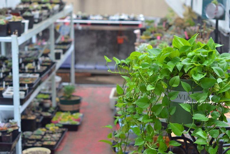 ̨�������ڵĶ�����������