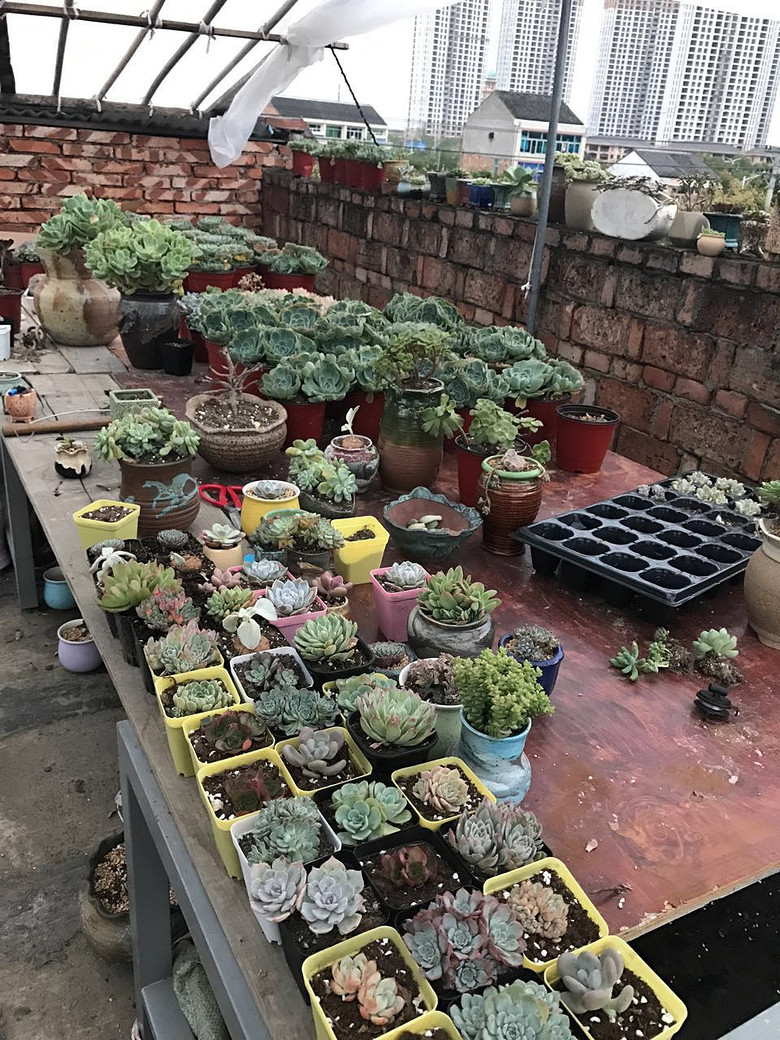 ̨�������ڵĶ�����������