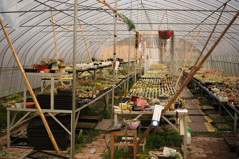 ��Һ�������è