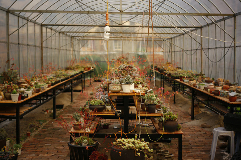 ��Һ�������è