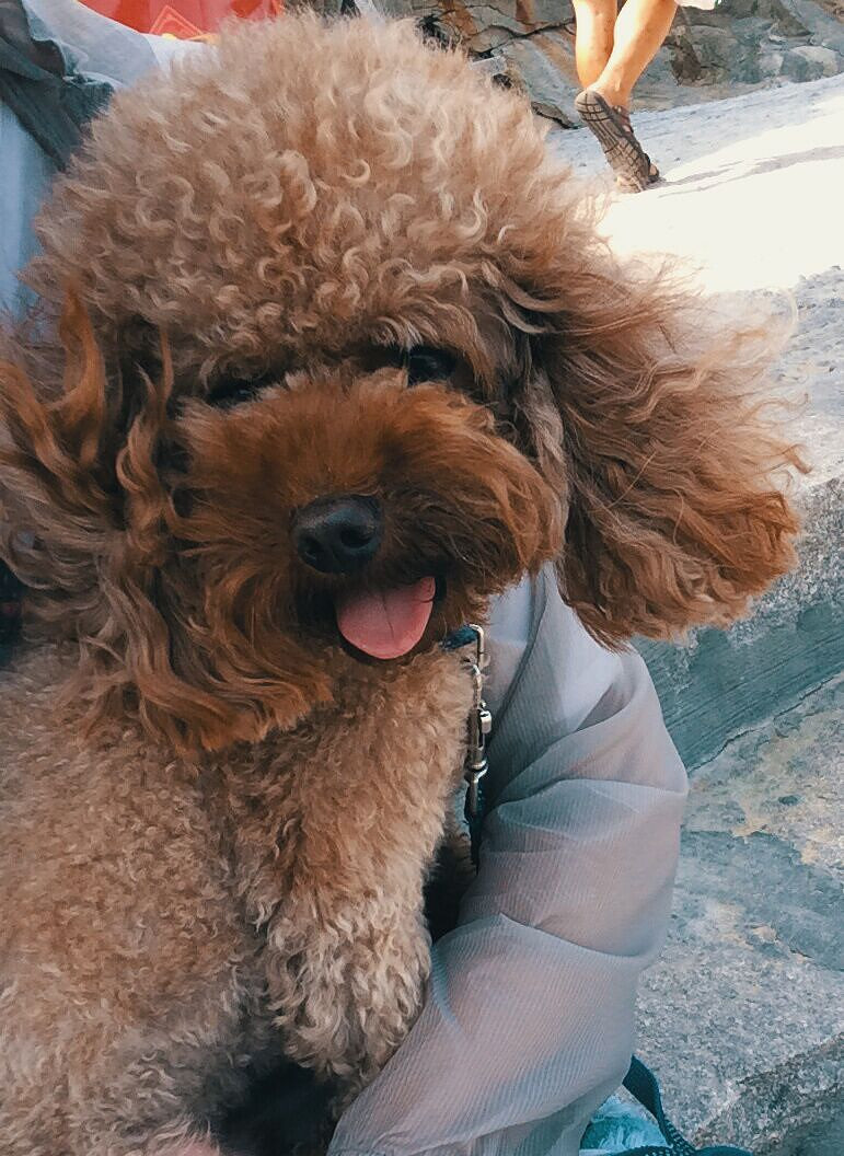 �������㡿+�����ʱ��