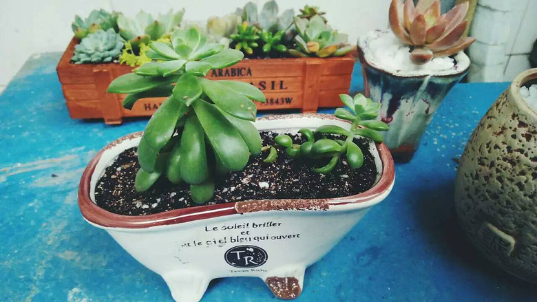 [�ֵ���õ�һ�����]