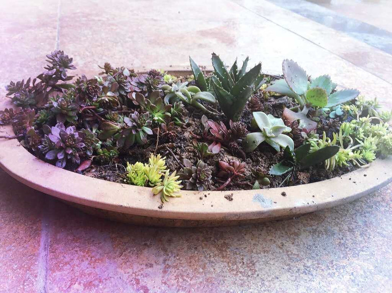 [�ֵ���õ�һ�����]