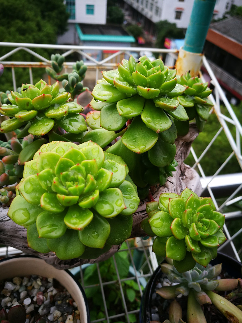 [�ֵ���õ�һ�����]