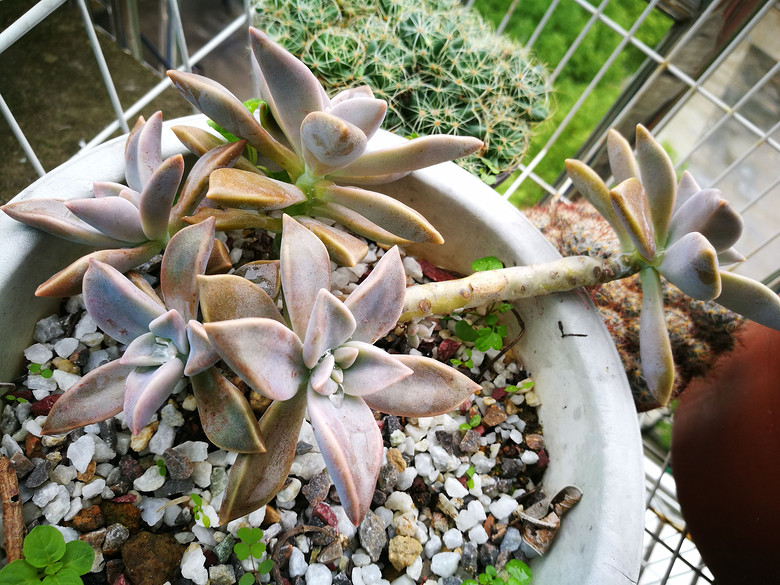 [�ֵ���õ�һ�����]